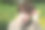 女性花粉过敏图片下载