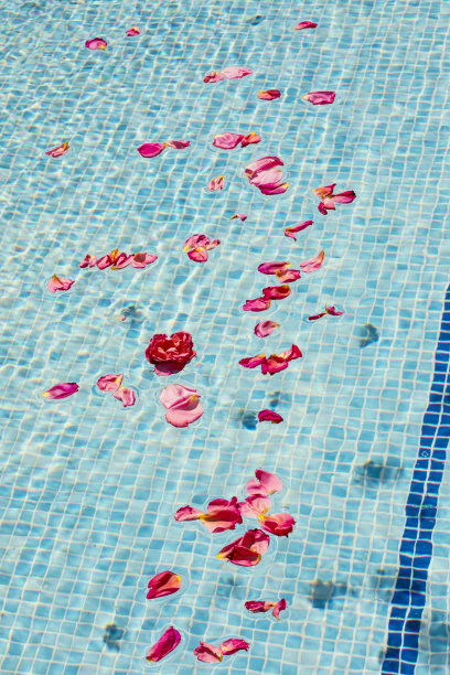 玫瑰花瓣映在水面上的一潭蓝色，春意盎然，摄影与影印空间对比度高图片下载