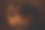 宠物兔子在阳光下的特写图片下载