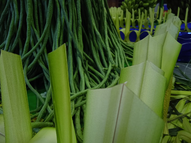 Sarana Puja -为2022年2566年卫塞节庆祝图片下载