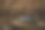 又旧又脏的靴子在岩石上，图片下载