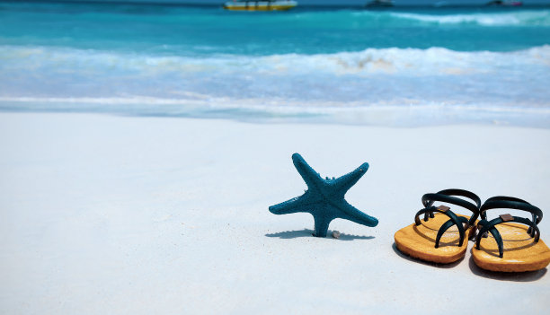 以海星和凉鞋为背景的夏季热带沙滩图片下载
