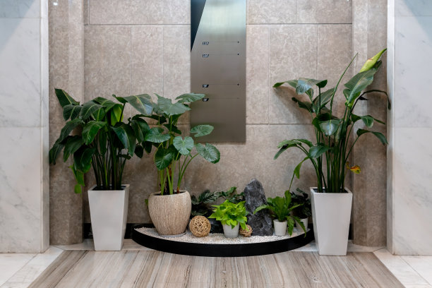 室内植物装饰在办公楼内部的角落。图片下载
