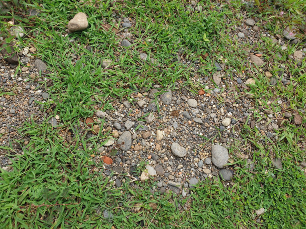 小石头和草的纹理为背景，在白天。高质量的照片图片下载
