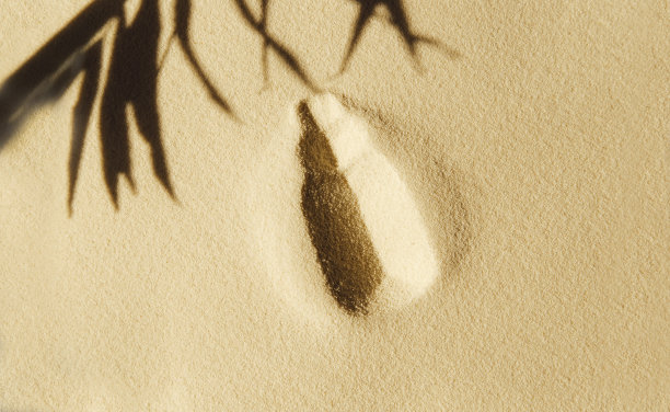 背景与柔和的沙子为产品介绍。展示化妆产品的t台。图片下载