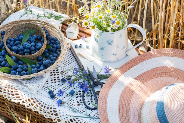 蓝莓在编织盘在白色钩织桌布，野餐篮子浆果在它的谷物背景图片下载