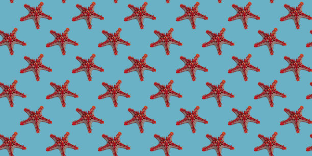 海星在绿松石背景壁纸，织物或包装纸上的无缝图案图片下载