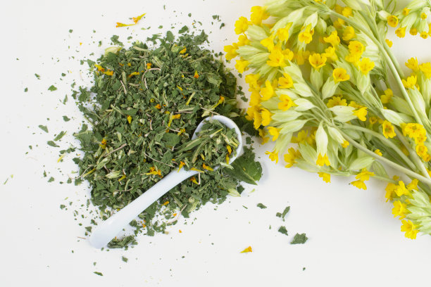 干九轮草(报春花)healthyÂ herbalÂ茶，小勺和鲜花，顶部视图。图片下载