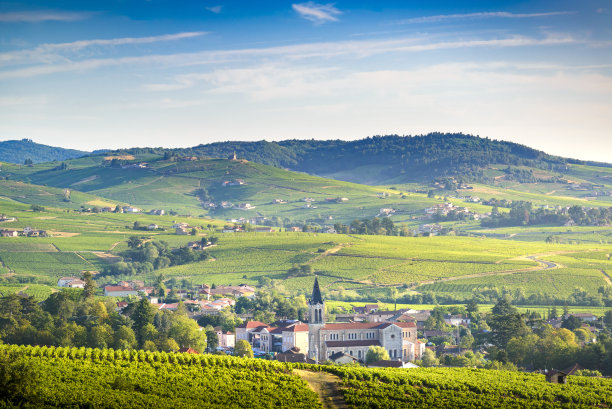 法国博若莱的Fleurie和Villié Morgon的葡萄园和村庄景观图片下载