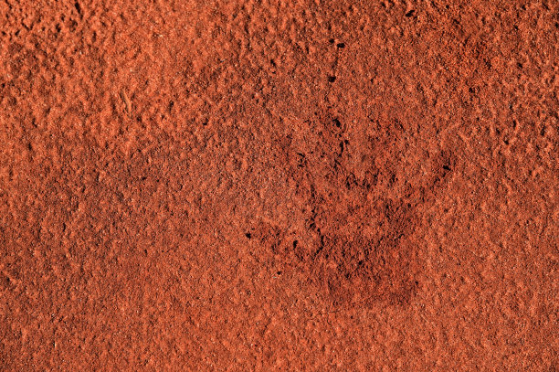 红色沙滩上的人类手印图片下载