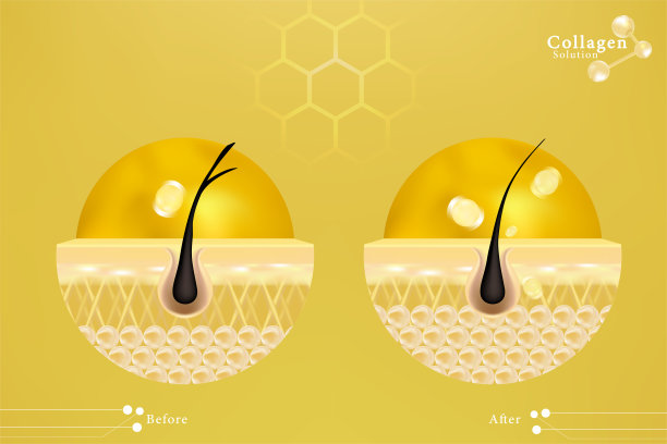 透明质酸前后发肤液广告，金胶原蛋白血清滴在皮肤细胞与化妆品广告背景准备使用，插图向量。图片下载