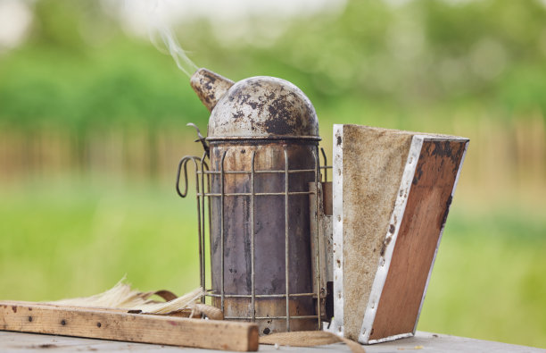 这是农场里一个吸蜜蜂的人的照片图片下载