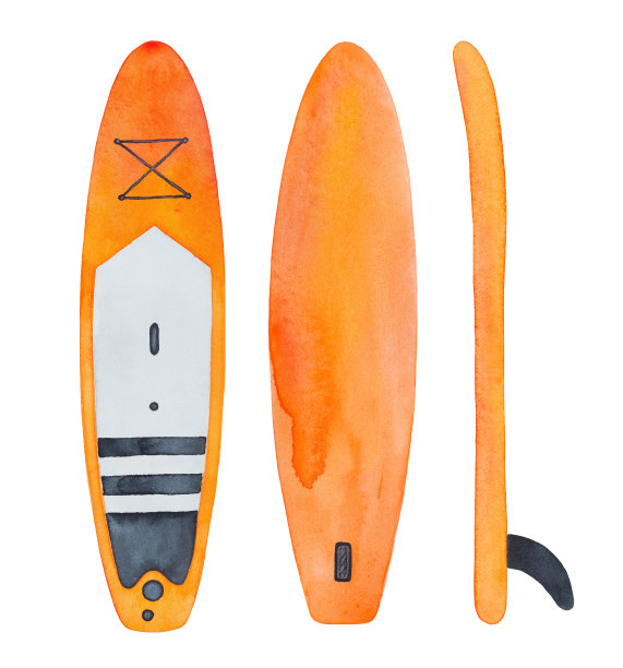 水彩手绘插图集站起来桨板在各种观点:前面，底部和侧面。图片下载