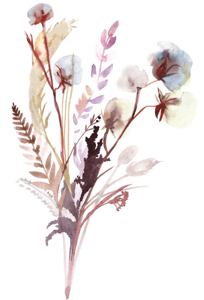 植物标本室花束，棉枝和其他在白色背景上隔离的干花的花图片下载