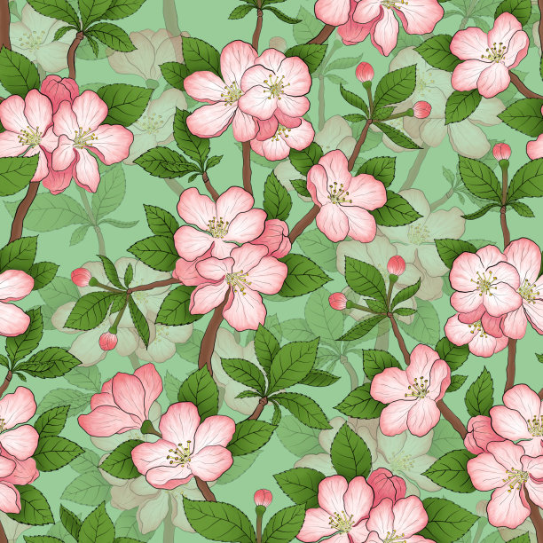 淡绿色无缝背景与盛开的苹果枝图片下载