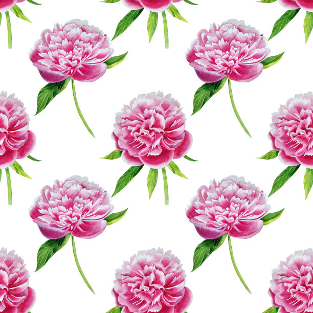 粉红牡丹水彩图案。无缝花手绘背景。精致的花蕾婚礼背景。用于布料和墙纸。图片下载