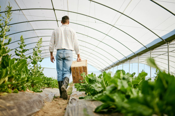 男农民提着一篮子新鲜农产品的镜头图片下载