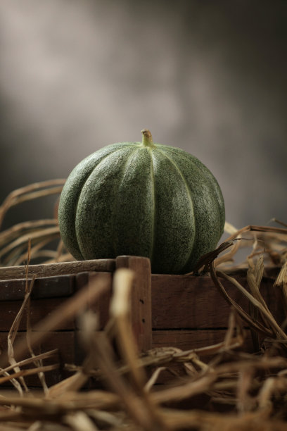 热带水果图片下载