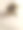 桌上的花真漂亮|图片|艺术|照片|摄影图片下载