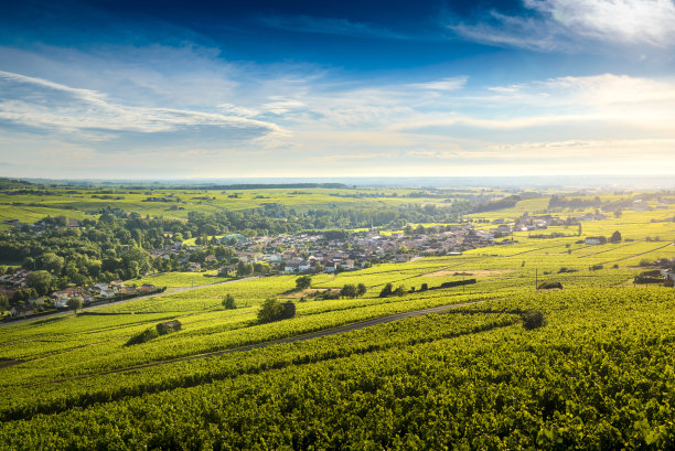日出时分的塞西村，博若莱村，法国图片下载