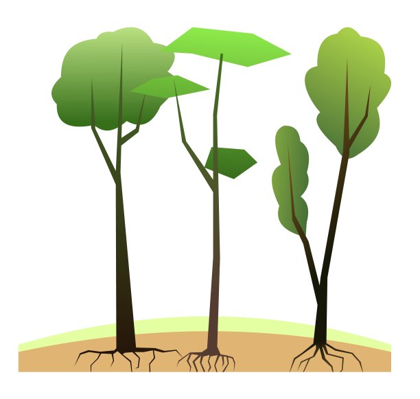 苗木有根的园林树木。农业播种材料。孤立在白色背景。单一对象图标。向量图片下载