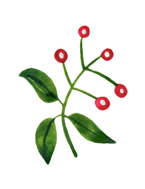 装饰片图片下载