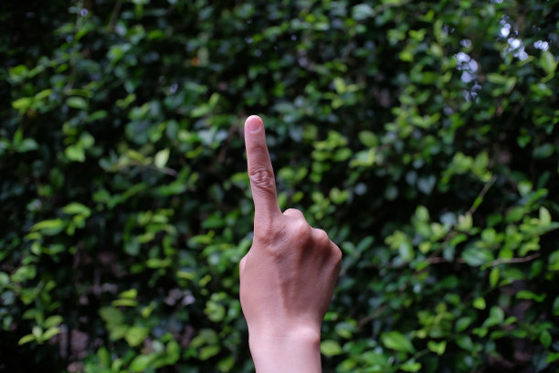 伸出食指的人的手，表示同意或打断图片下载