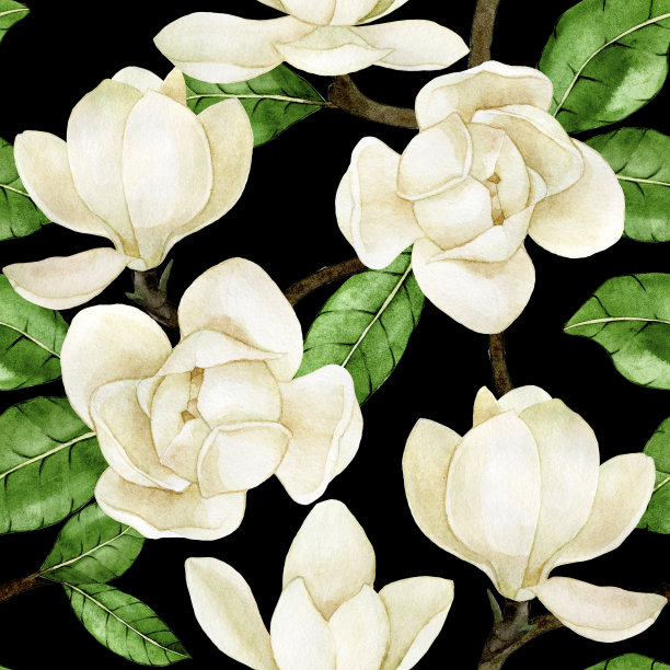 无缝模式与白色木兰在黑色的背景。水彩在复古风格与白色热带花卉和黑暗的背景图片下载