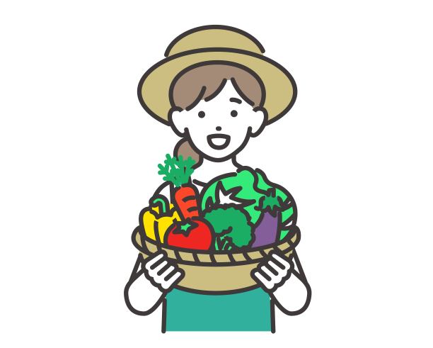 矢量插图的农民收获蔬菜和水稻/农业/园艺图片下载