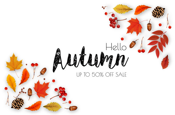 秋日五彩缤纷的落叶衬托着销售图片下载