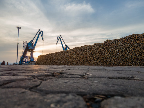 黄昏时分卸载大量木材后港口的鸟瞰图图片下载