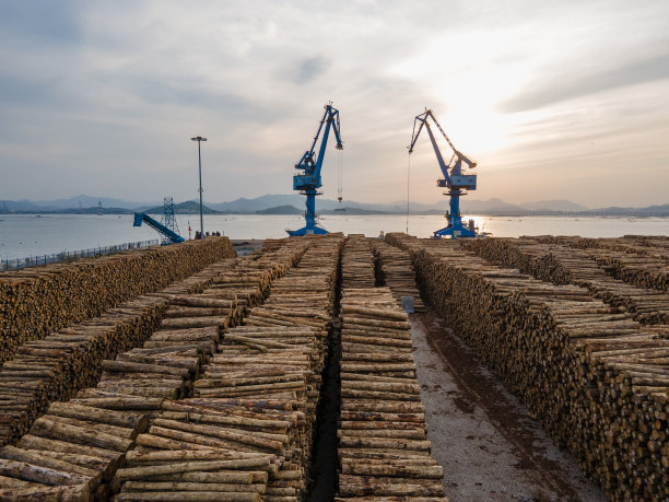 黄昏时分卸载大量木材后港口的鸟瞰图图片下载