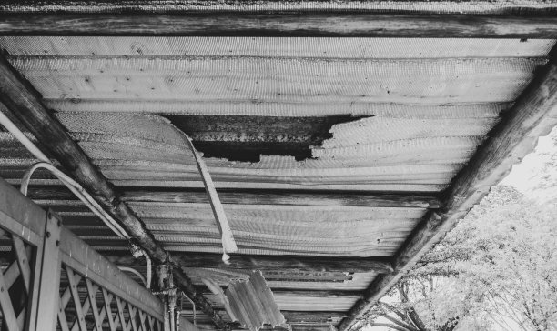 在Rama 9公园里，破碎的银色天花板被渲染成黑白图片下载