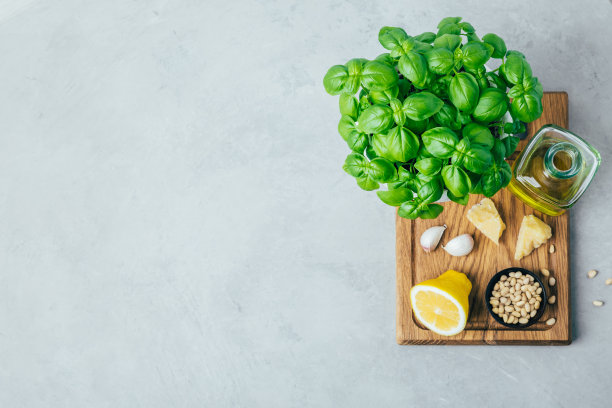 香蒜酱配料。罗勒叶，帕尔马干酪，松子，橄榄油，大蒜，柠檬，盐。图片下载