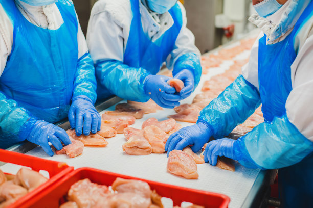 食品厂传送带生产线上的鸡胸肉图片下载