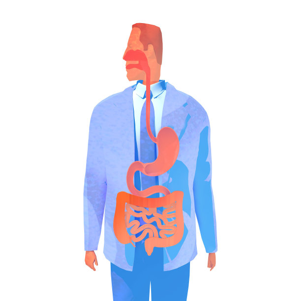 水彩风格的人体消化系统三维插图。图片下载