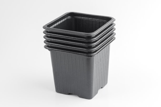 白色背景的蔬菜和花卉作物的幼苗容器图片下载