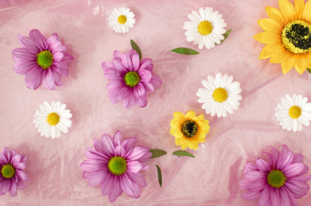 创意鲜花湿塑料袋概念。春天的背景。最小平层性质图片下载