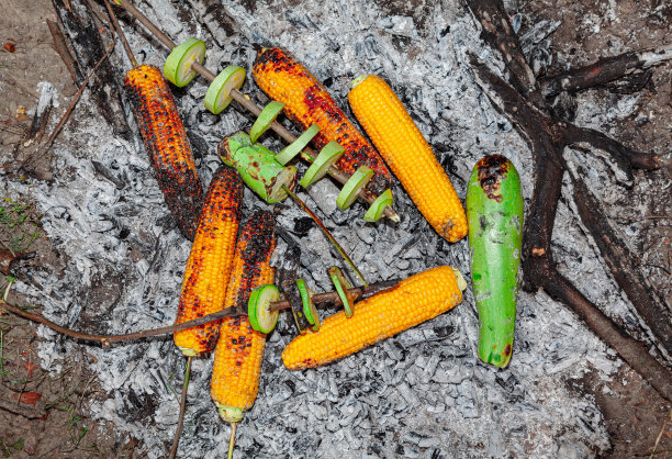 蔬菜在壁炉图片下载