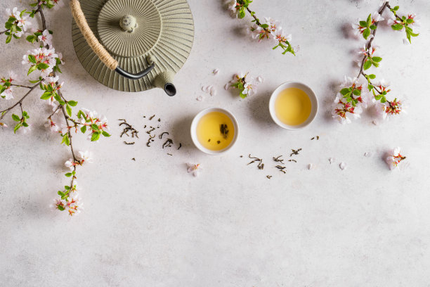 绿茶和樱花图片下载