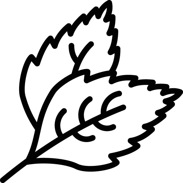 花园薄荷矢量线图标设计，调味品和香料符号，食品烹饪配料标志，草药和表酱料库存插图，新鲜薄荷叶概念，图片下载