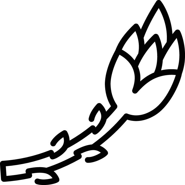 有机麻雀草矢量线图标设计，调味品和香料符号，食品烹饪成分标志，草药和表酱料库存插图，花园芦笋概念，图片下载