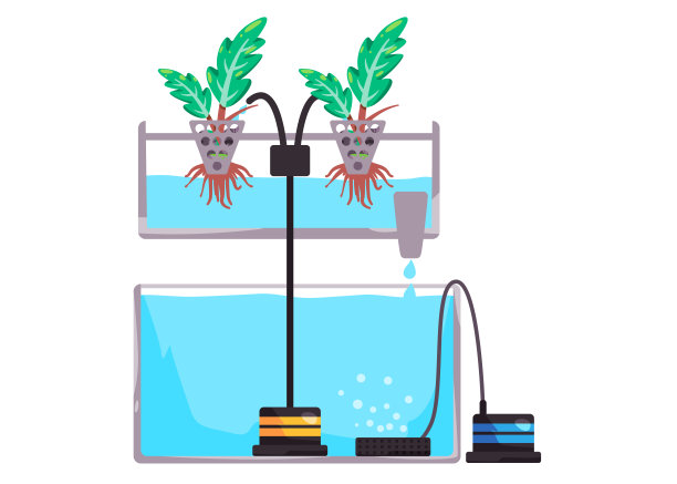 营养膜技术系统在智能农作方法中的水分流动和营养利用浅流图片下载