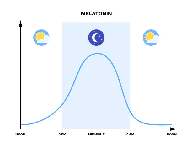 睡眠后循环图片下载