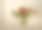 束鲜花图片下载
