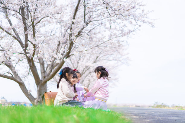 小女孩们在樱桃树下野餐图片下载