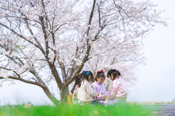 小女孩们在樱桃树下野餐图片下载