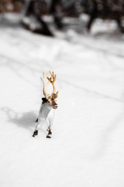 鹿玩具和雪图片下载