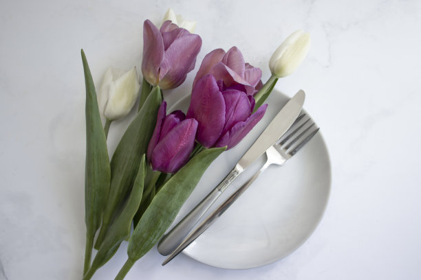 光背景上的空盘花郁金香图片下载