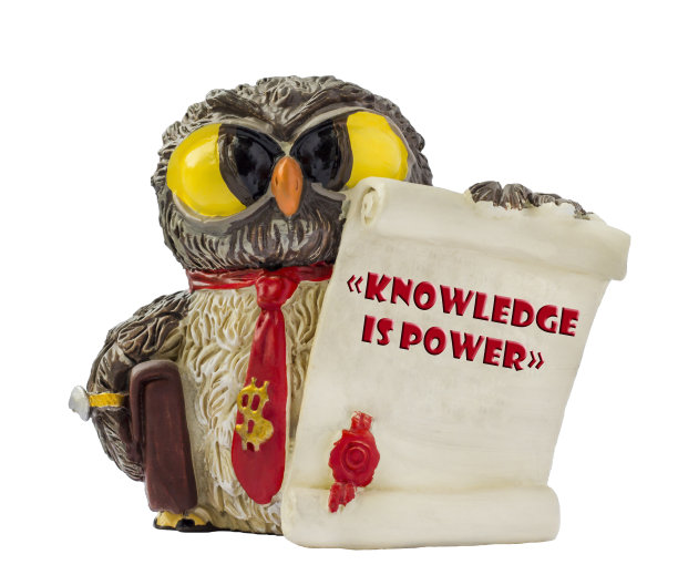 白色背景上的独立猫头鹰图片下载